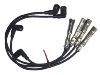 Ignition Wire Set:0300891184