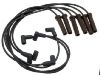 Zündkabel Ignition Wire Set:12192462